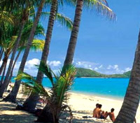 Palm Cove